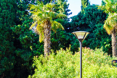 Similar image 22530853