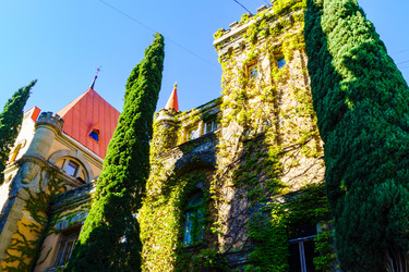 Similar image 22555400