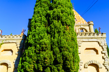 Similar image 22555403