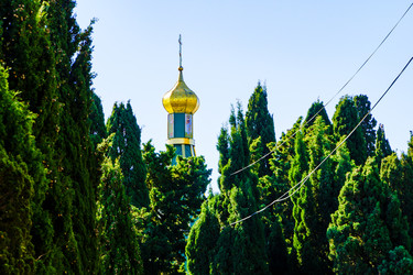 Similar image 22558592