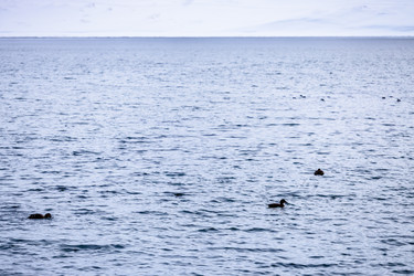 Similar image 22529534