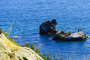 Similar image 22558593