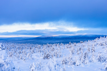 Similar image 22529703