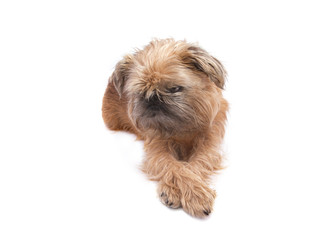 Similar image 22529940