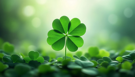 Similar image 22557231