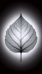 Similar image 22539592