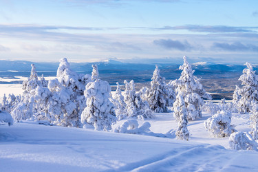 Similar image 22529005