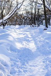 Similar image 22529269