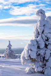 Similar image 22529362