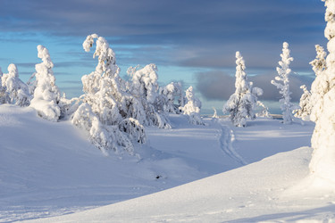 Similar image 22529398