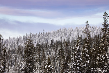 Similar image 22529425