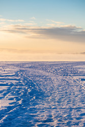 Similar image 22529465