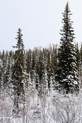 Similar image 22529512