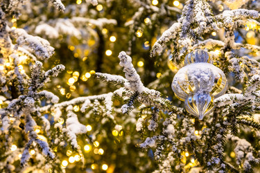 Similar image 22529538