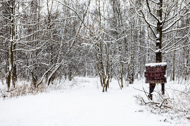 Similar image 22529619