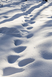 Similar image 22529647