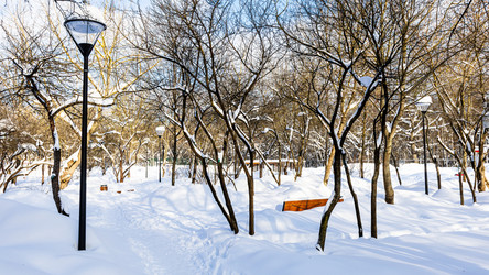 Similar image 22529721