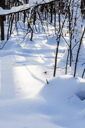 Similar image 22529722