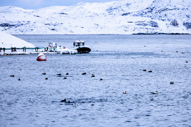 Similar image 22529876