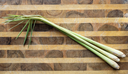 Similar image 22529878