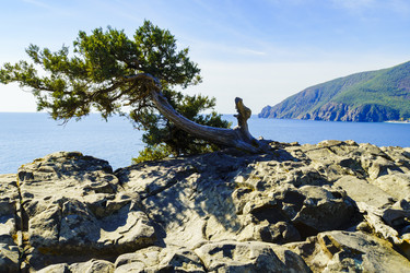 Similar image 22559992