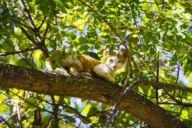 Similar image 22559979