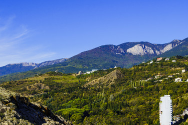 Similar image 22559981