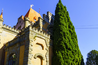 Similar image 22559984