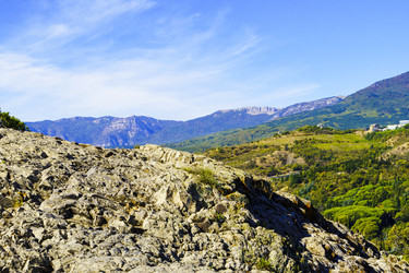 Similar image 22559985