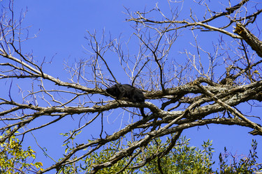 Similar image 22559987