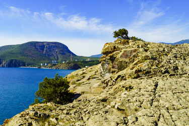 Similar image 22559994