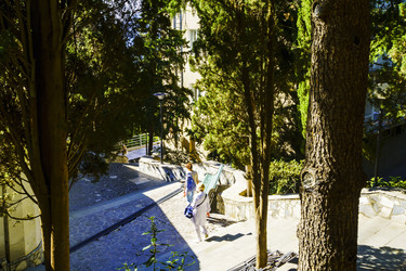 Similar image 22559995