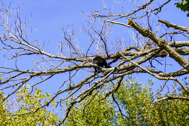 Similar image 22559997