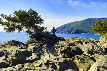 Similar image 22562746