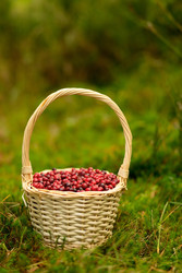 Similar image 22578362