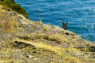 Similar image 22562798