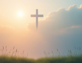 Similar image 22558281