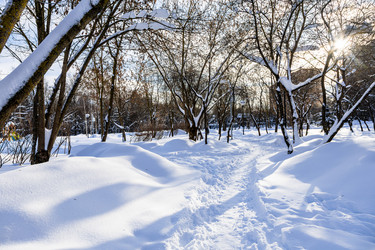 Similar image 22529749