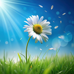 Similar image 22538651