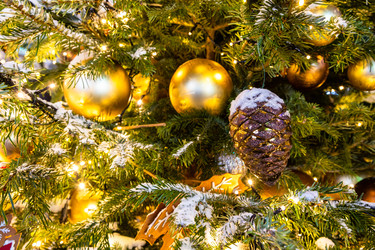 Similar image 22529861