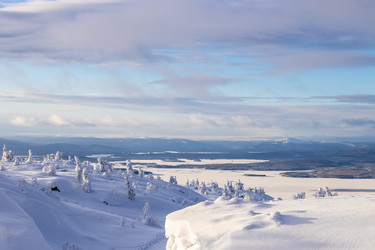 Similar image 22528794