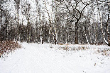 Similar image 22528819