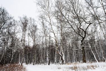 Similar image 22529072