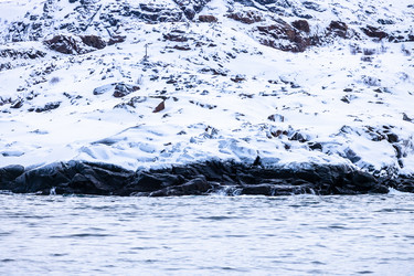 Similar image 22529154