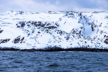 Similar image 22529156