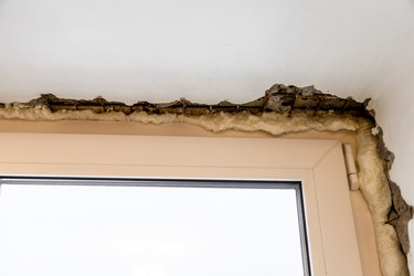 Similar image 22529273