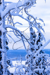 Similar image 22529277