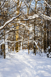 Similar image 22529281