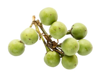 Similar image 22529368