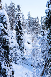 Similar image 22529450